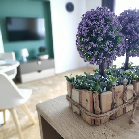 Apartament Karpaty Krynica Exterior foto